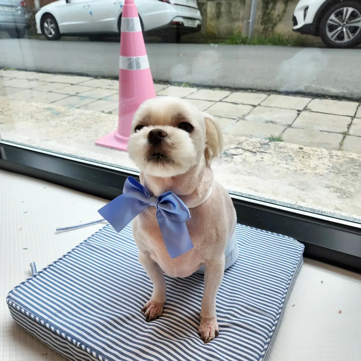 이미지 8