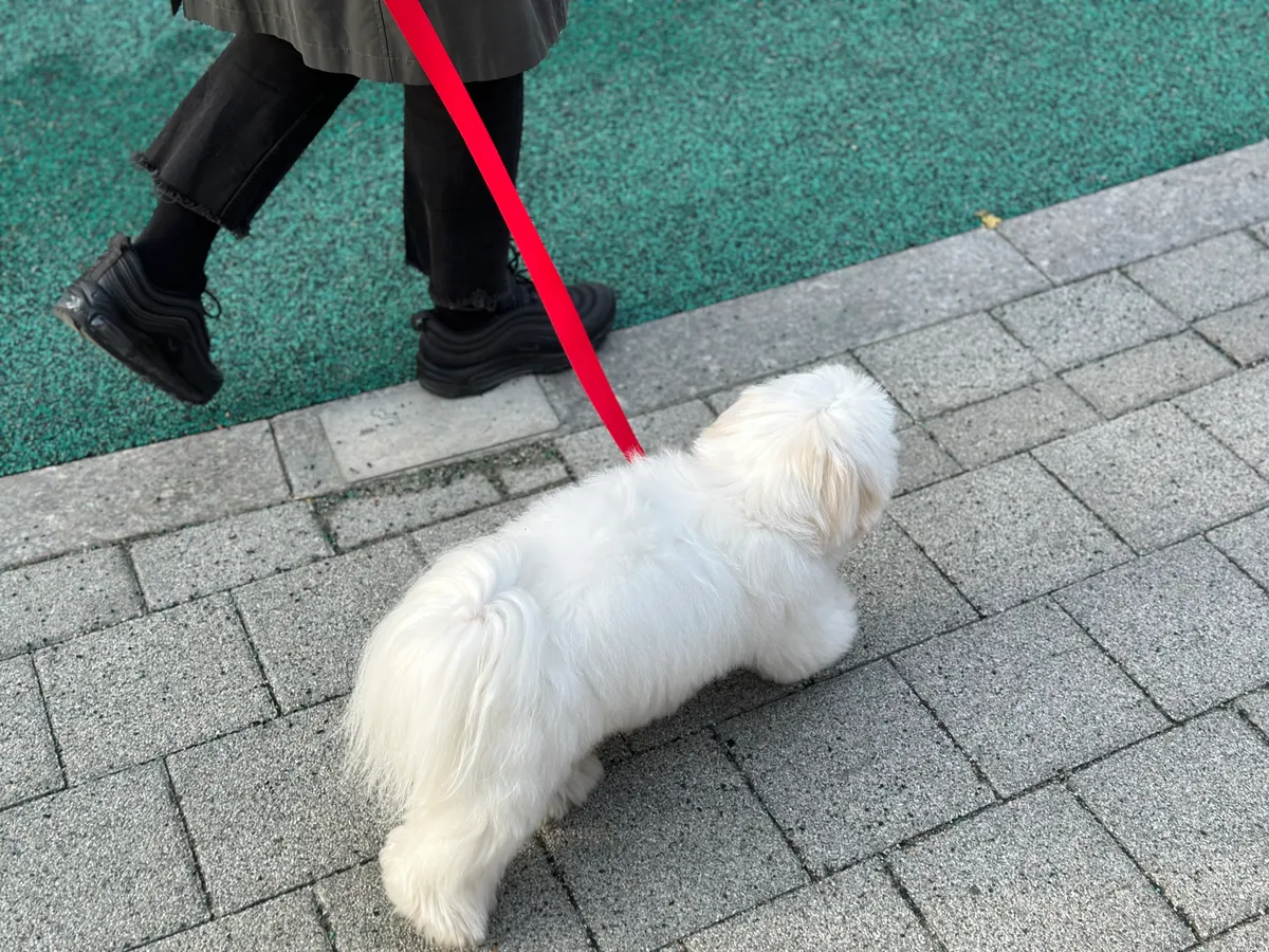 이미지 6