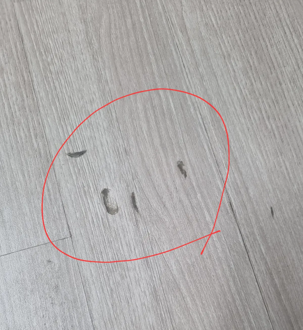 이미지 6