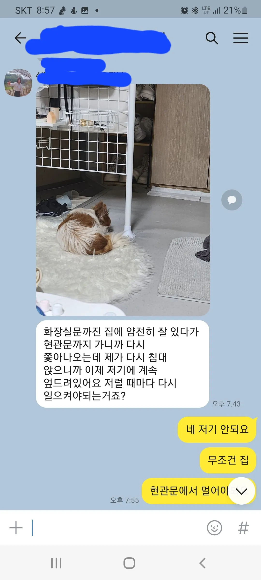 이미지 6