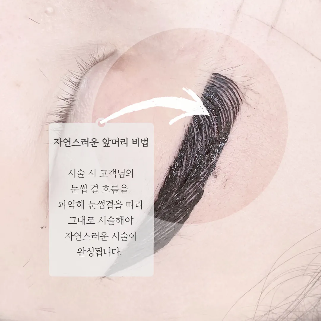이미지 5