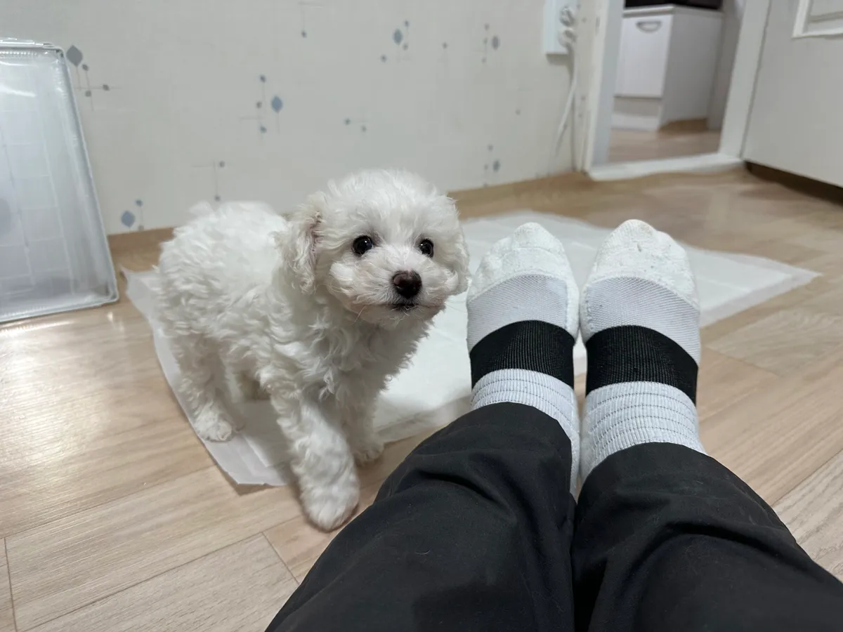 이미지 6