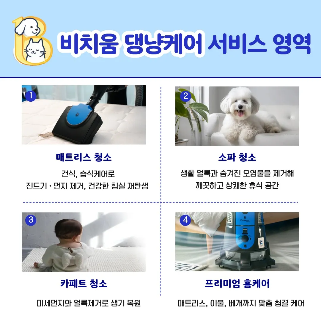 이미지 10