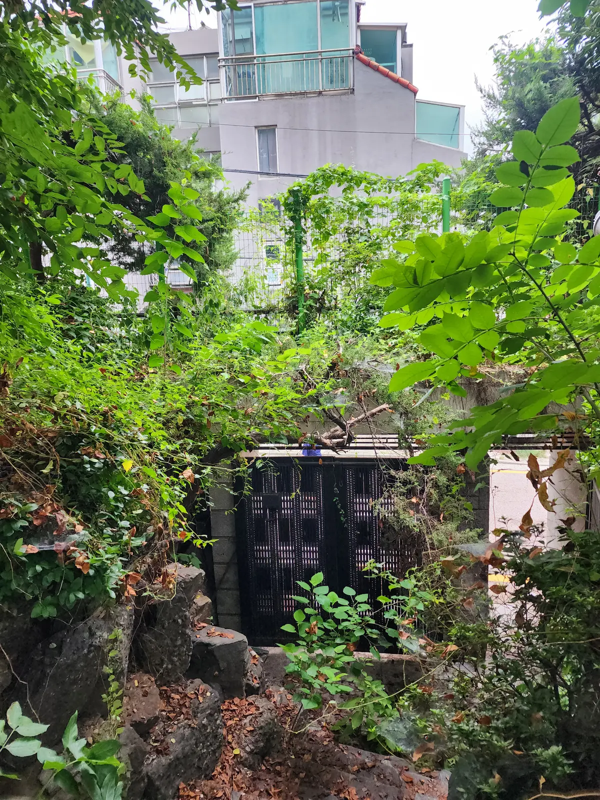 이미지 6