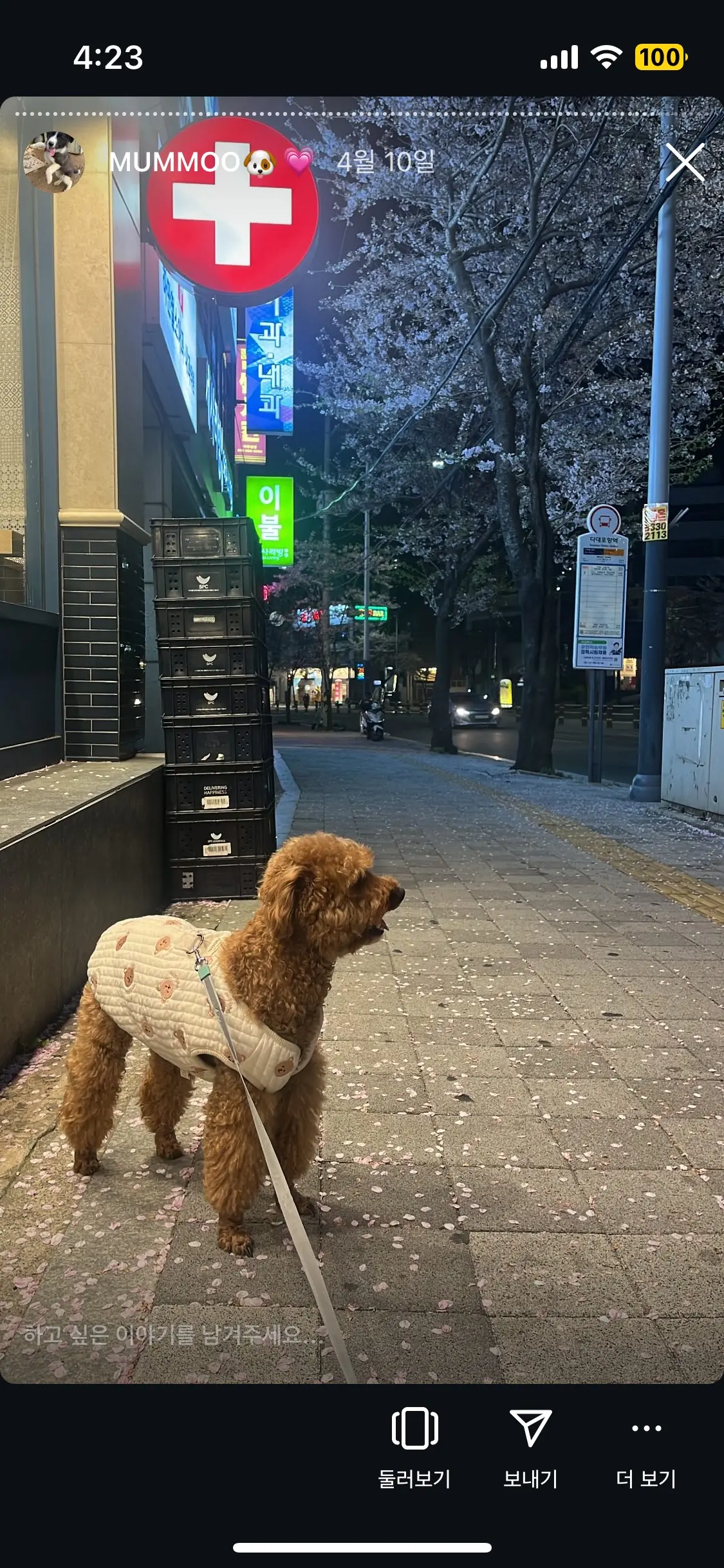 이미지 10