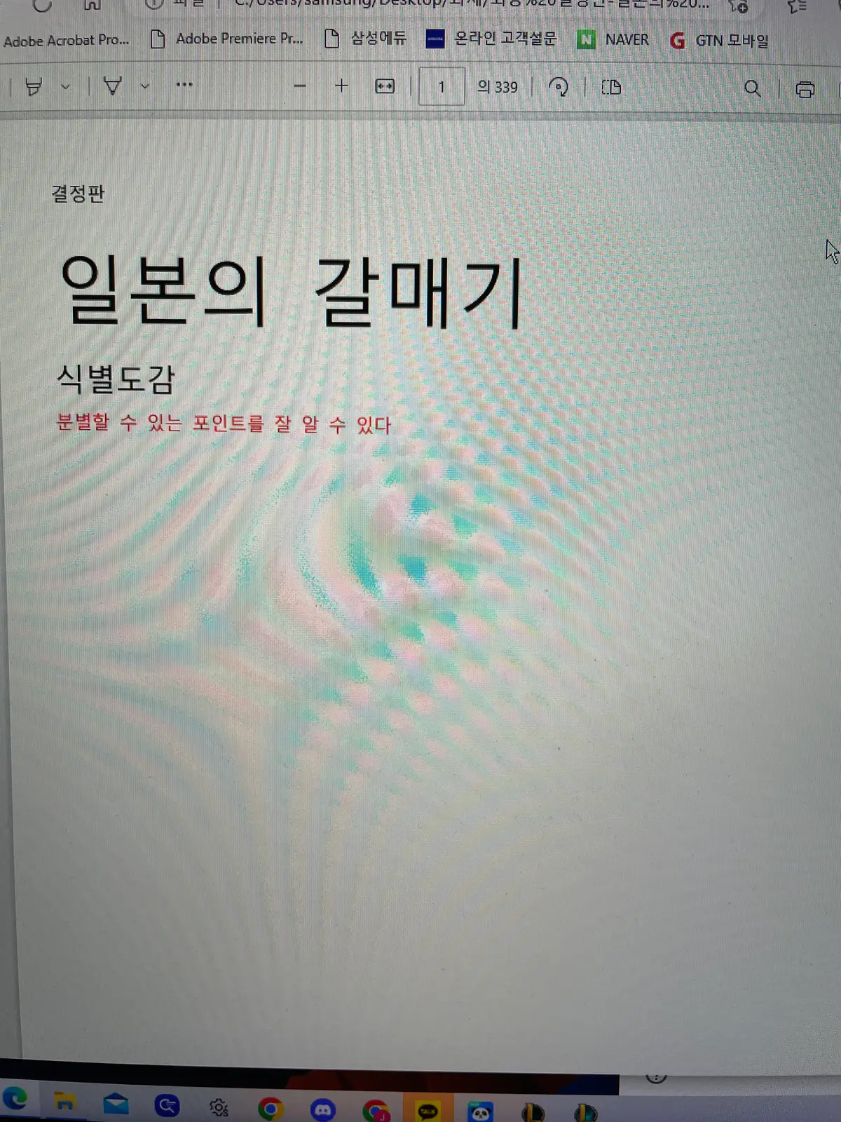포트폴리오 이미지