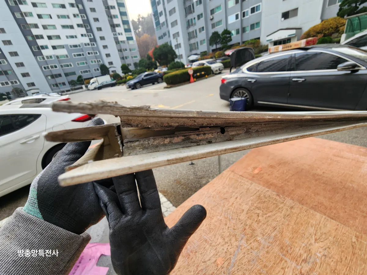 이미지 8