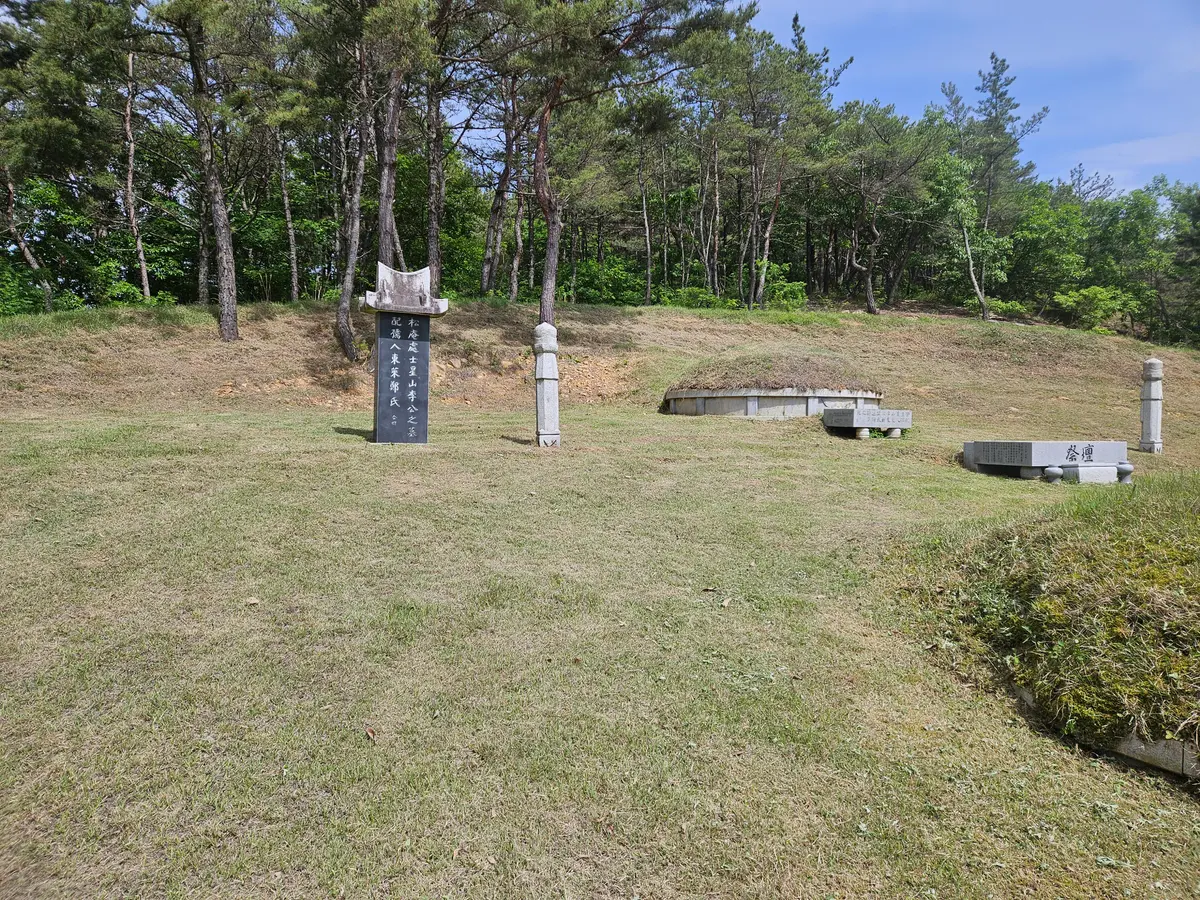 이미지 12