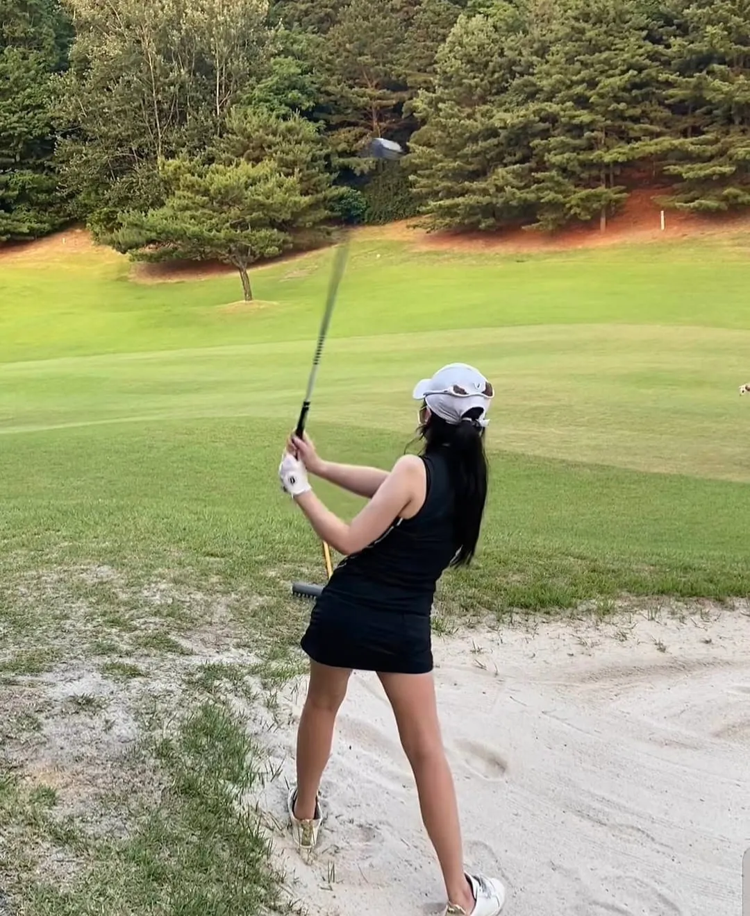 이미지 6