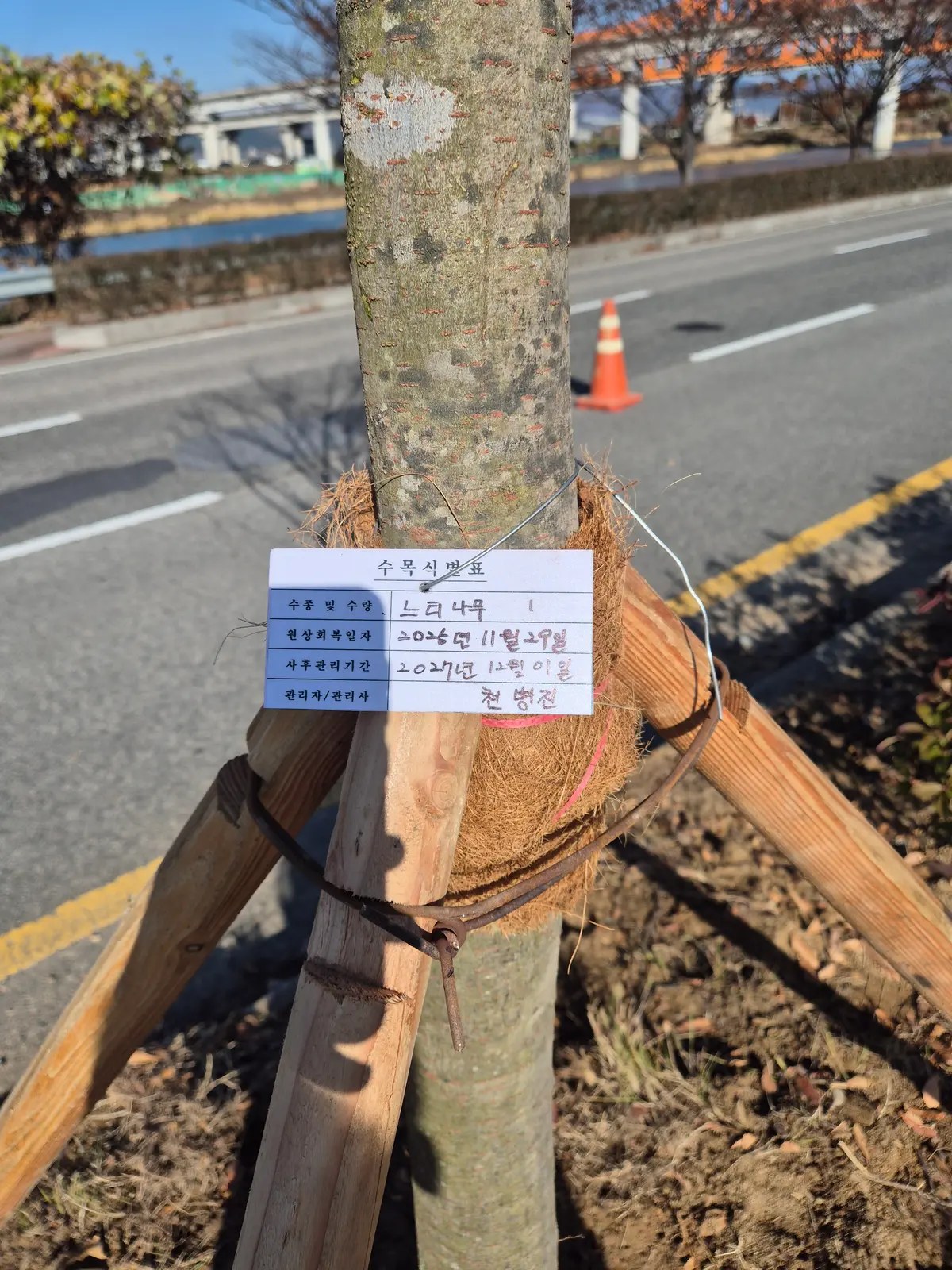 이미지 20