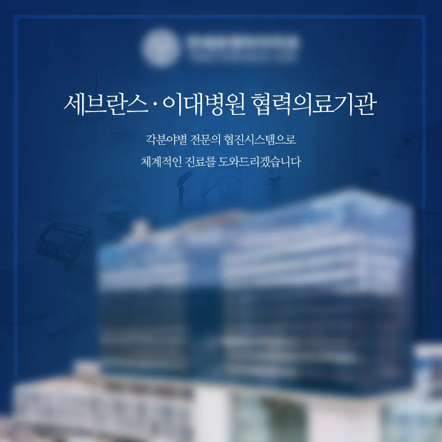 이미지 2
