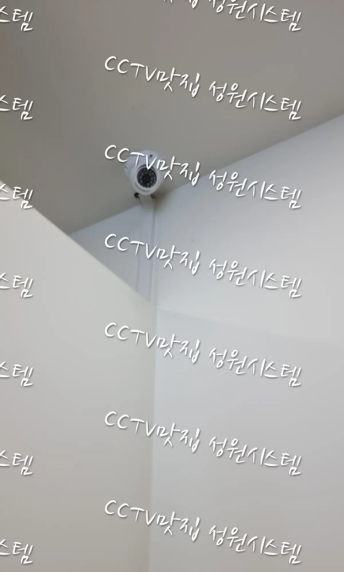이미지 8