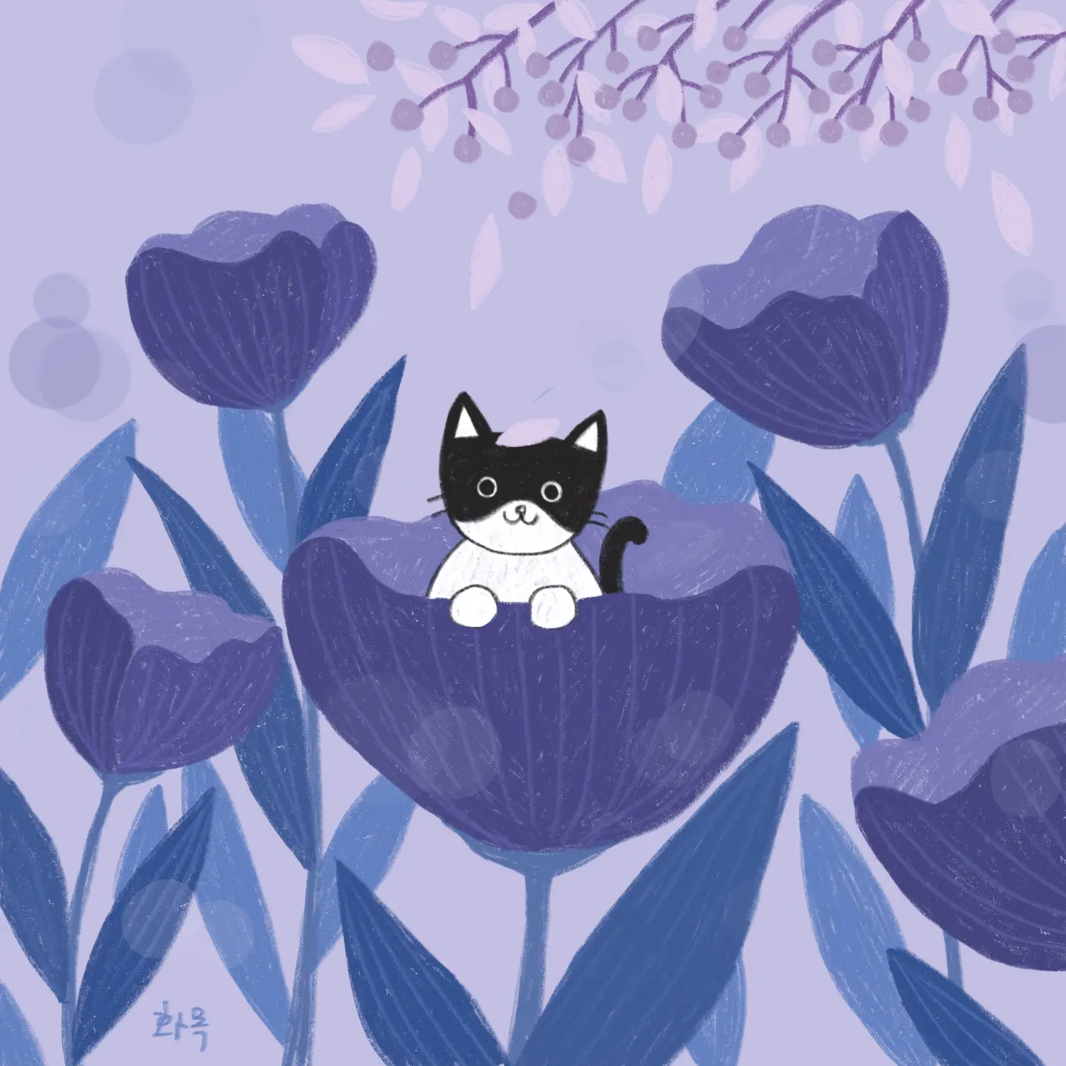 이미지 7