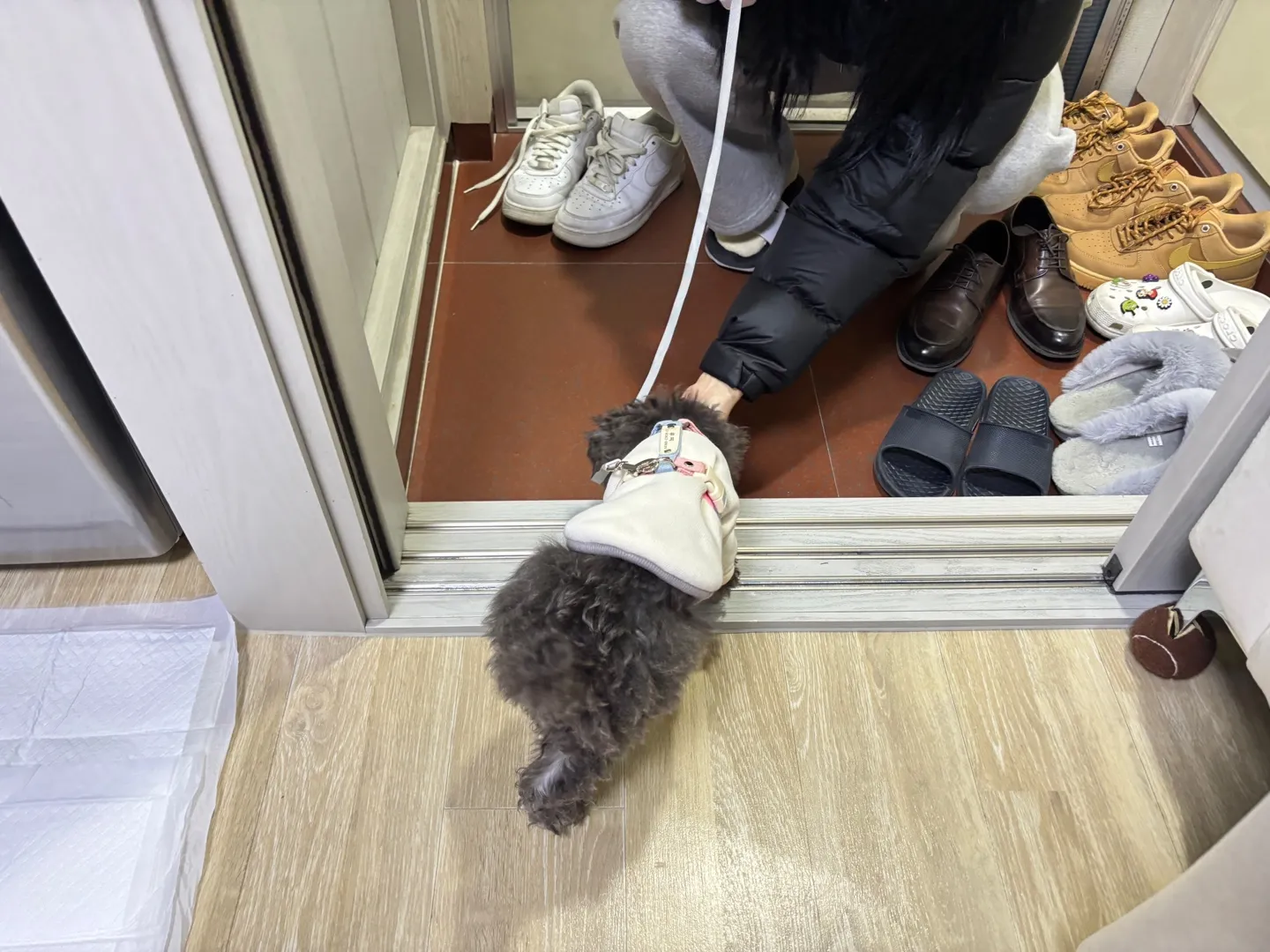 이미지 7