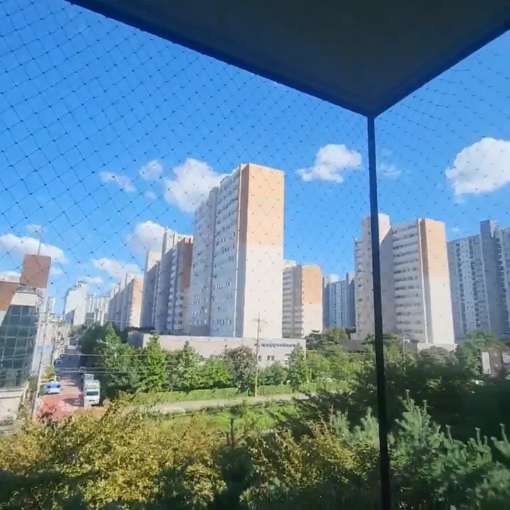 이미지 10