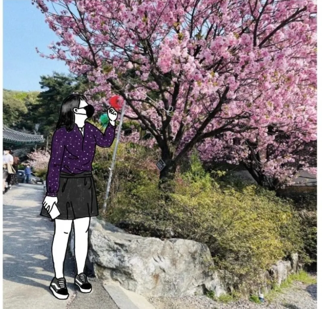 이미지 5
