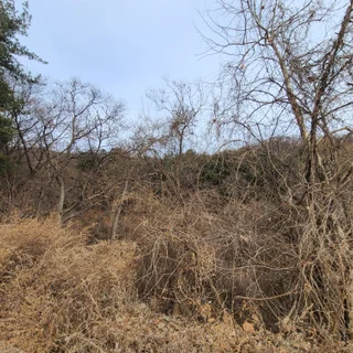법인 재무제표 반영 목적 감정평가
