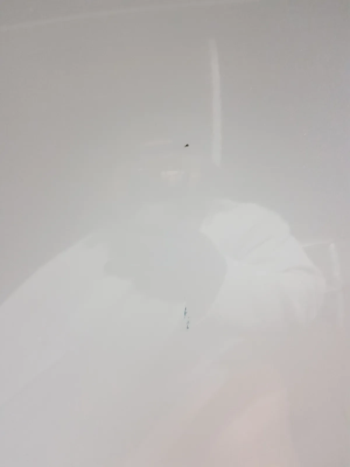 이미지 11
