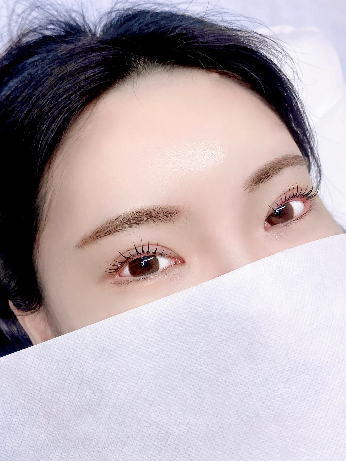 이미지 5