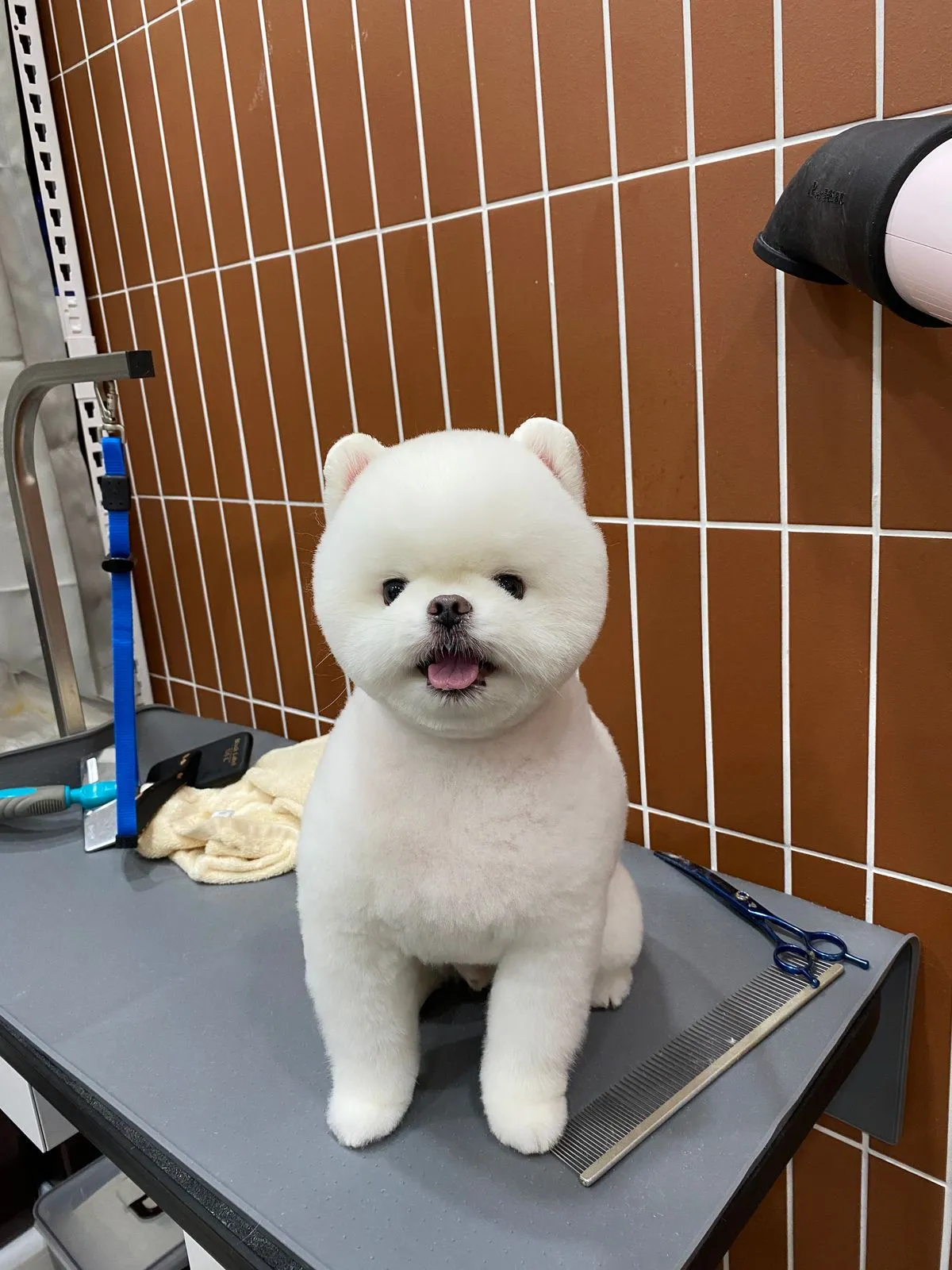 이미지 3