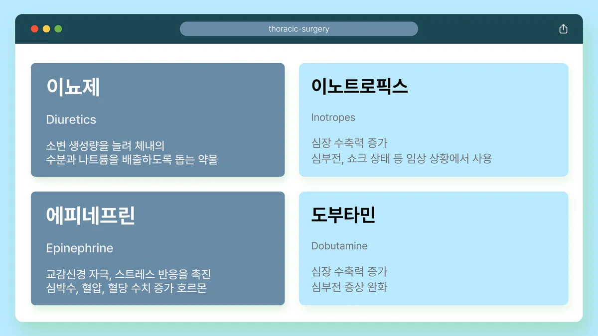 이미지 8