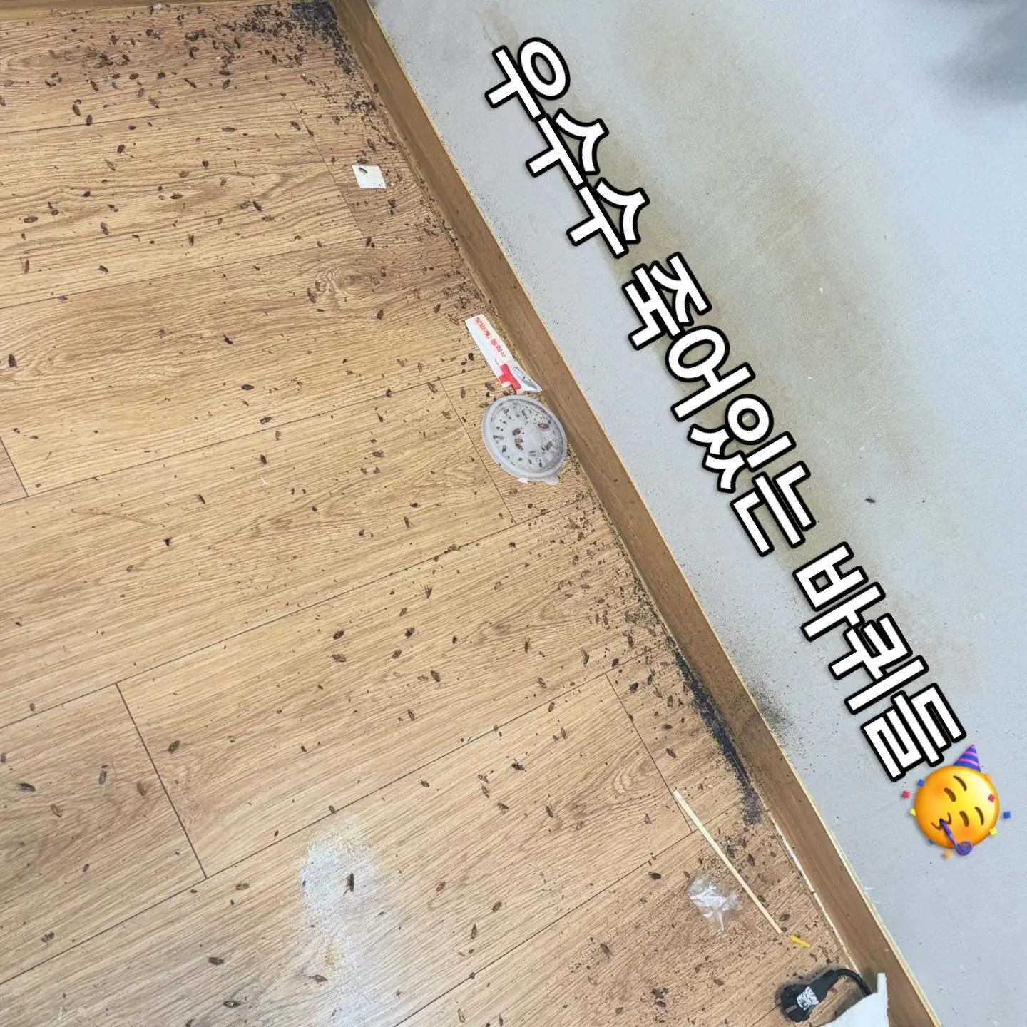 이미지 4