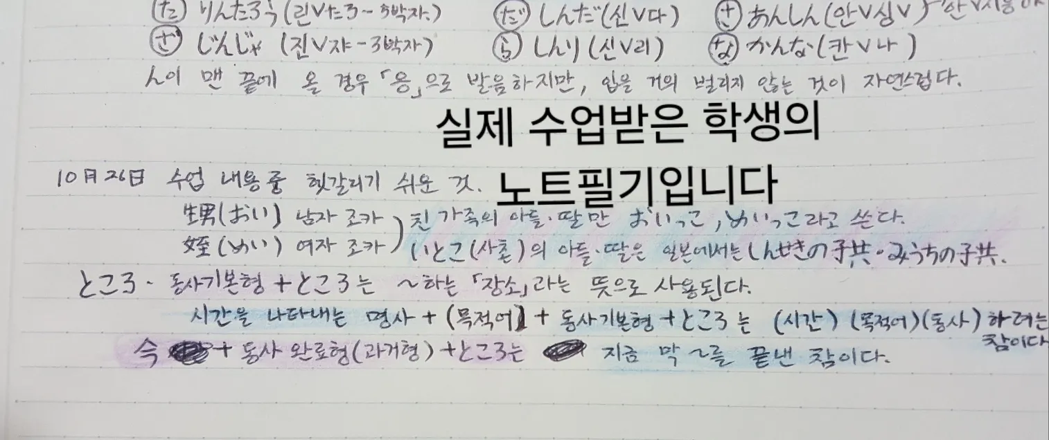 이미지 6