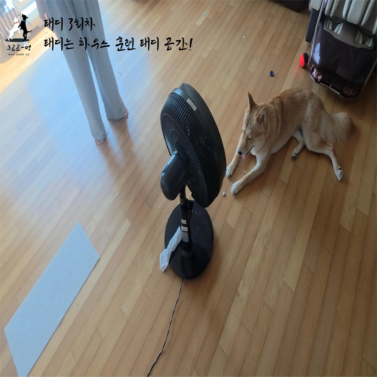 이미지 4