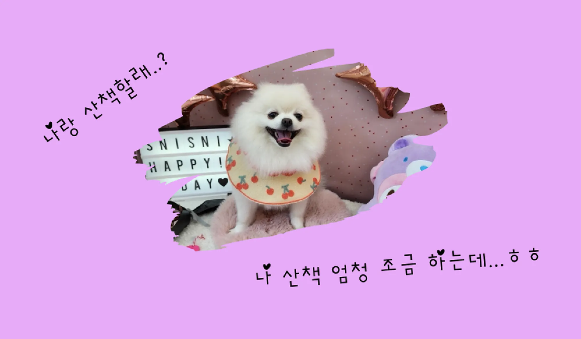 이미지 4