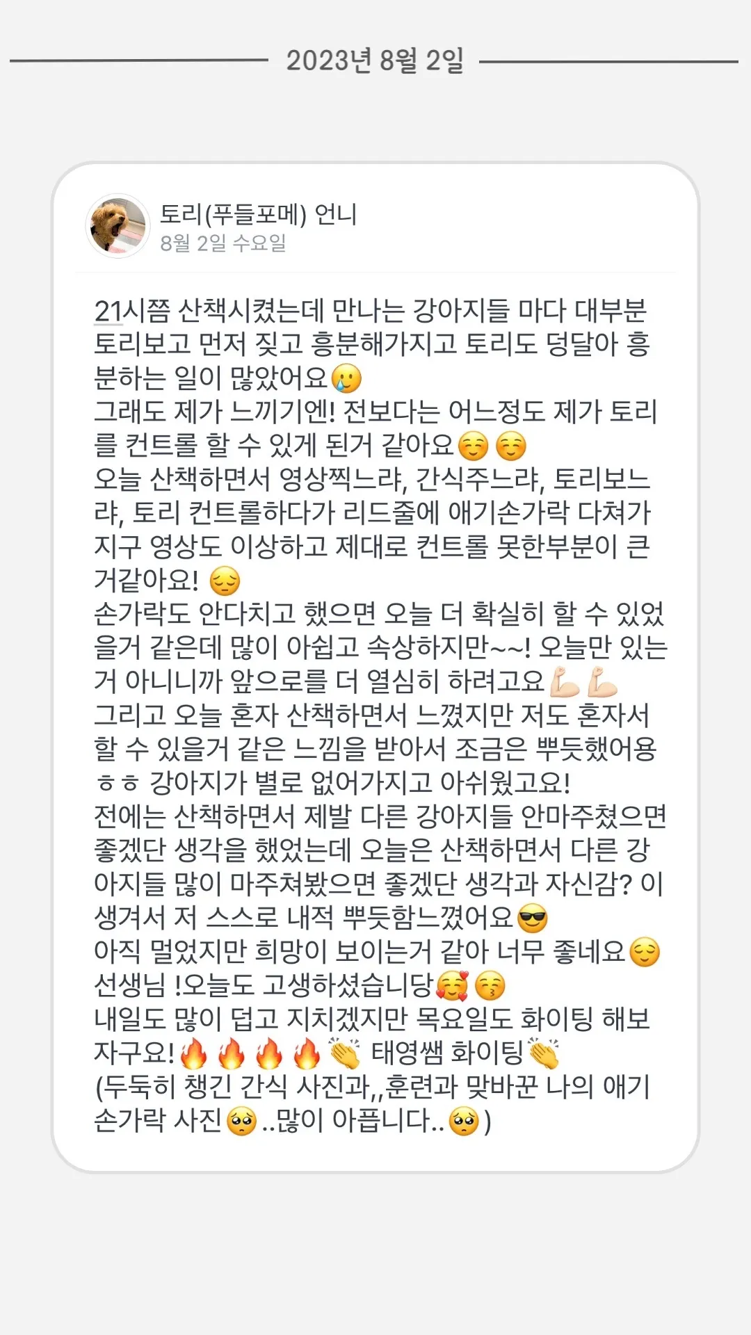 이미지 5