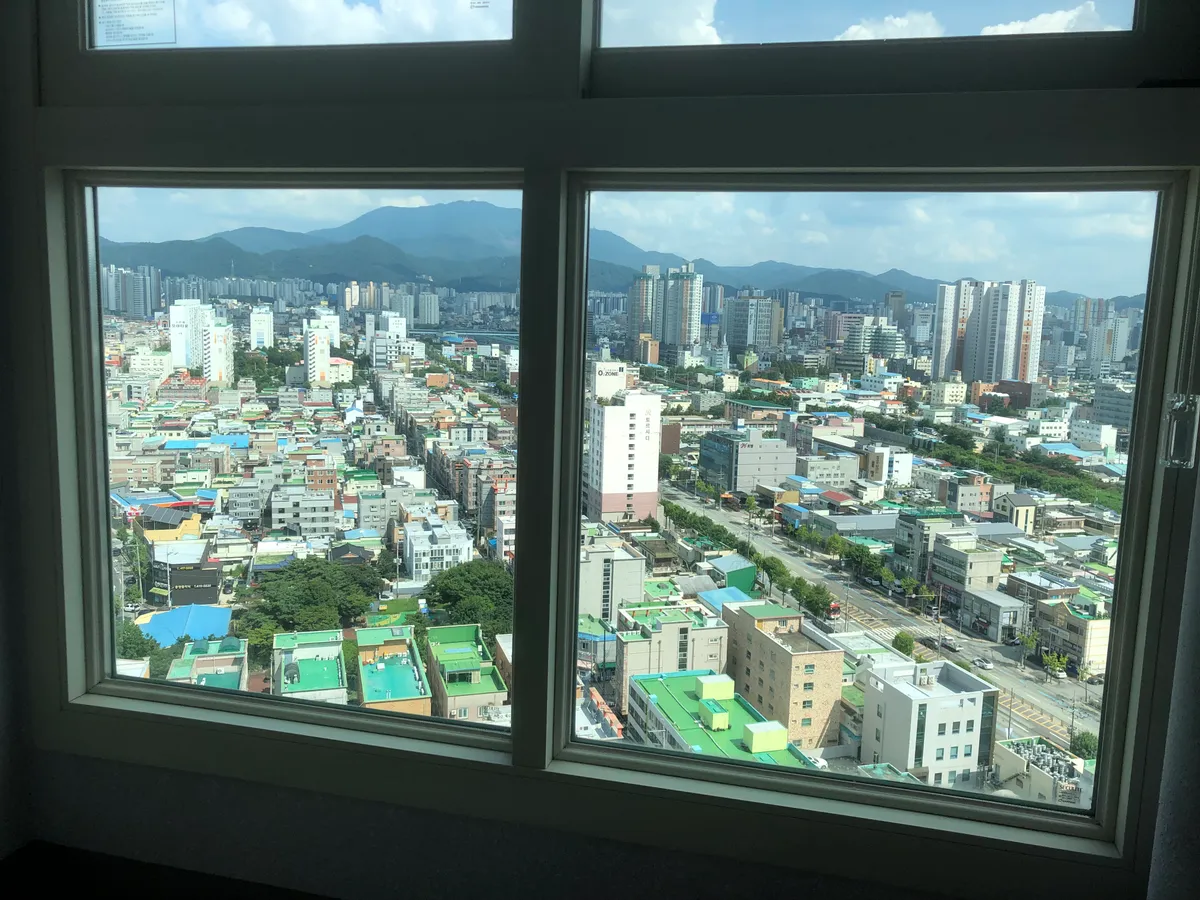 이미지 8