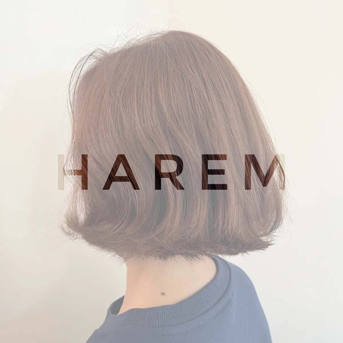 이미지 7