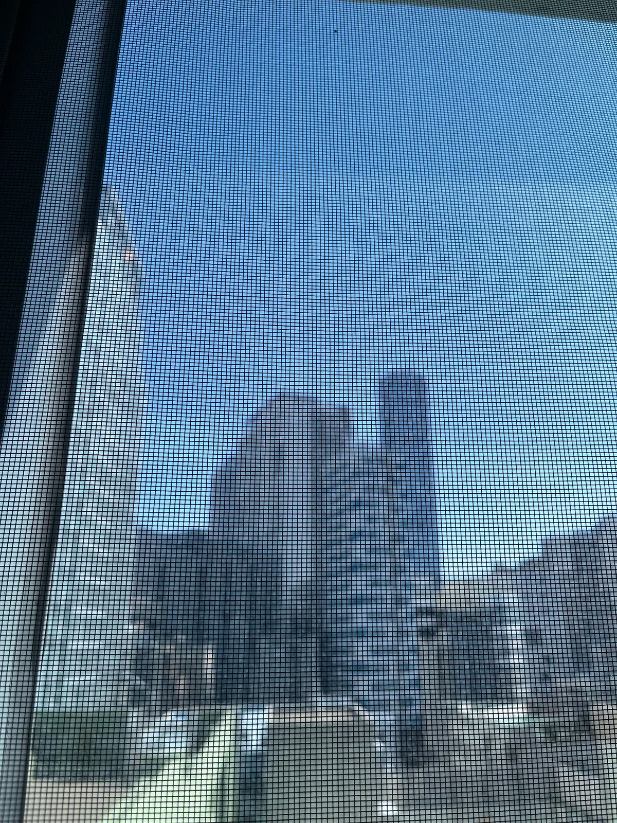 이미지 12