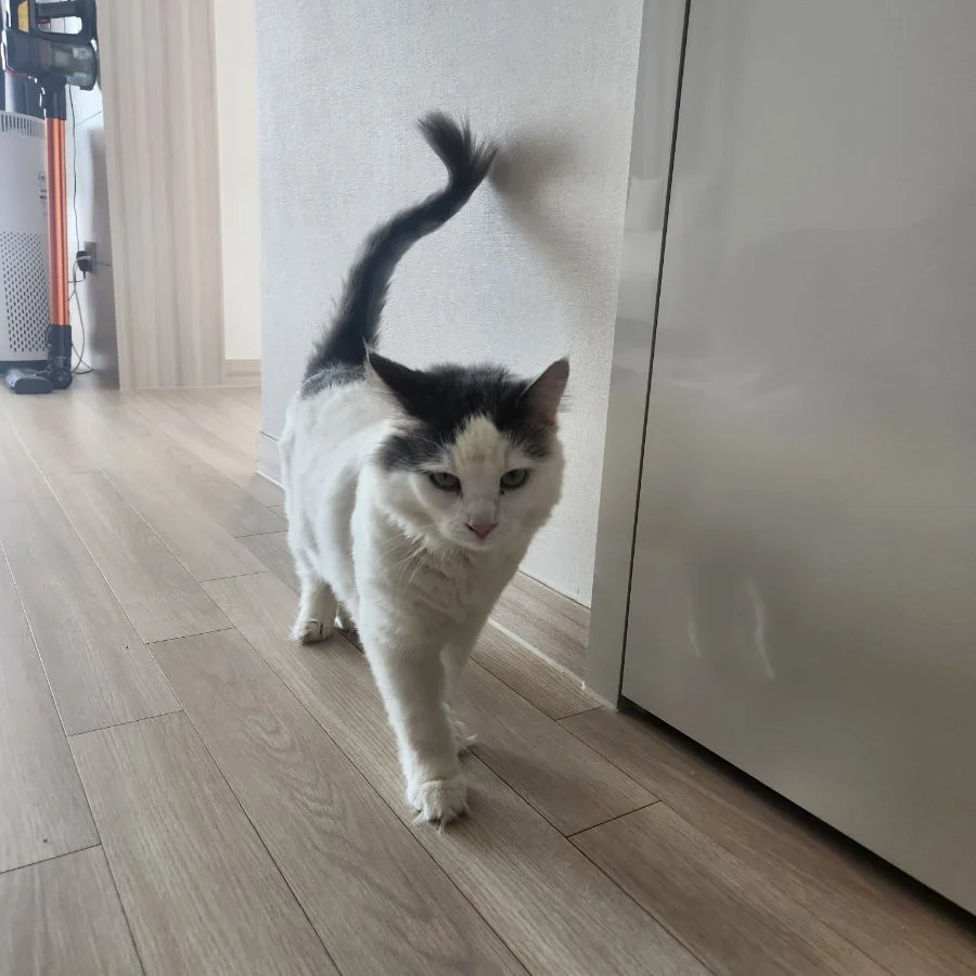 이미지 3