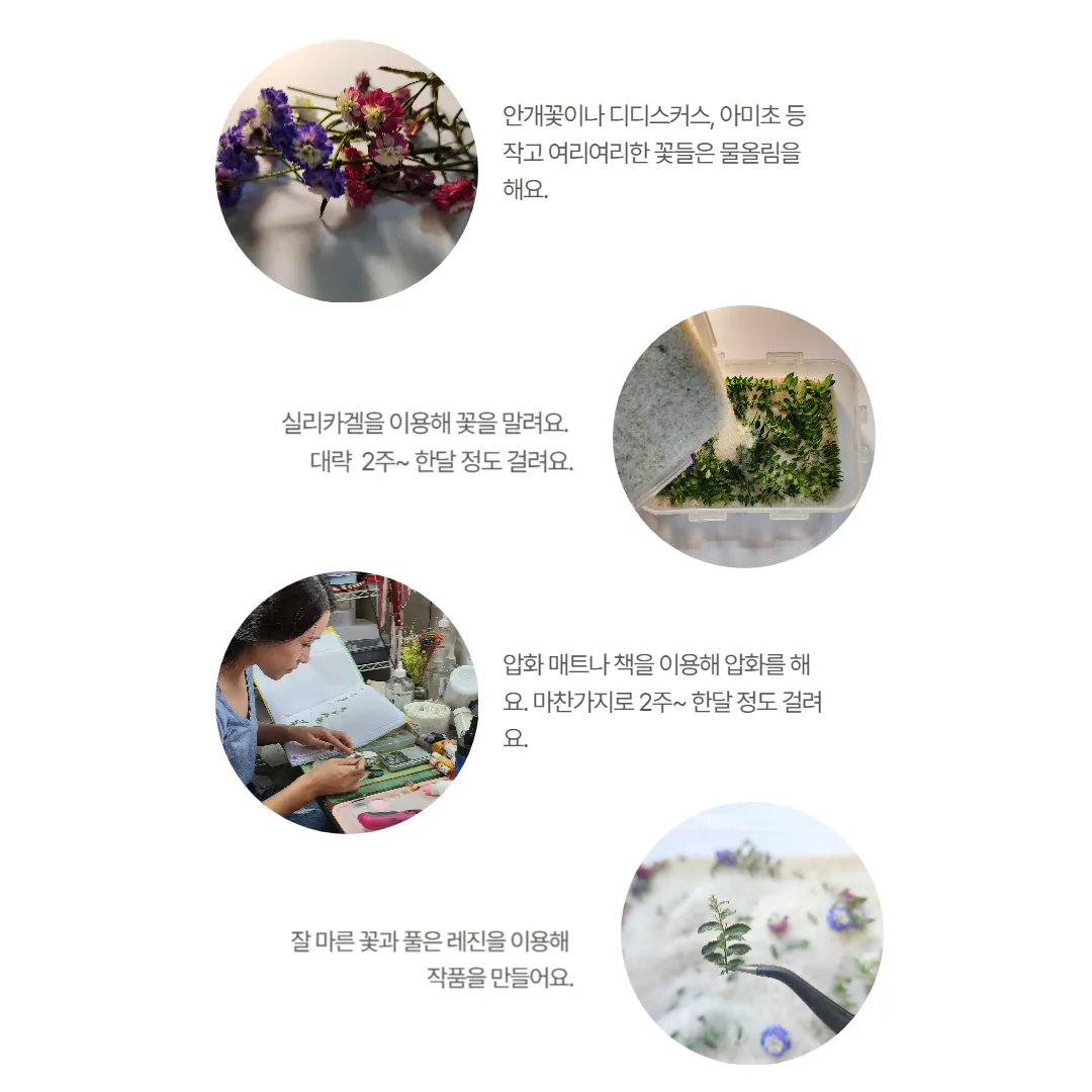 이미지 8