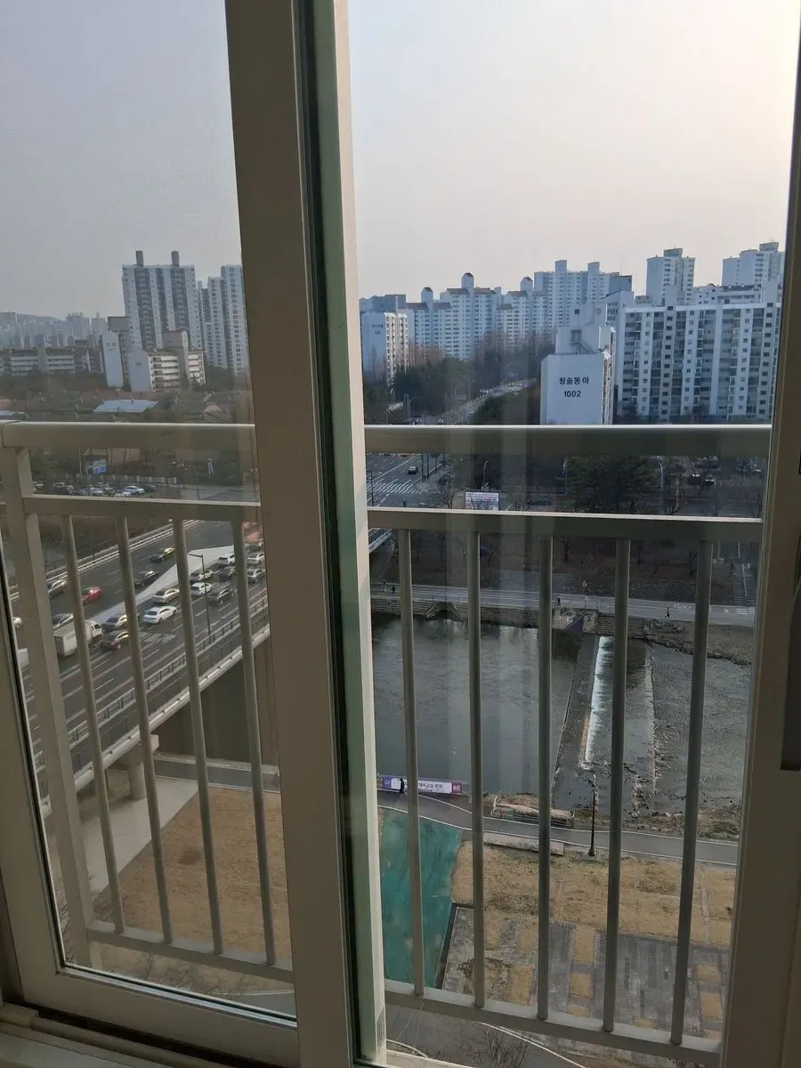 이미지 14