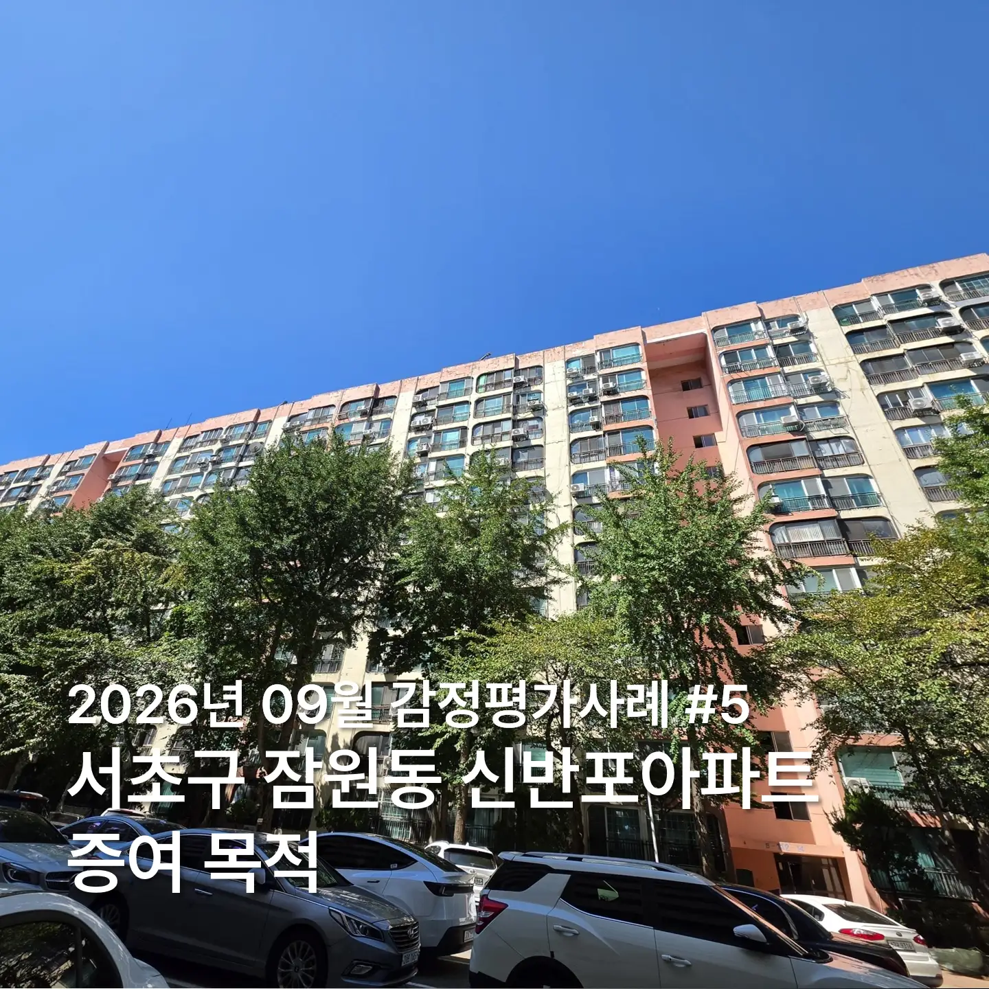이미지 10
