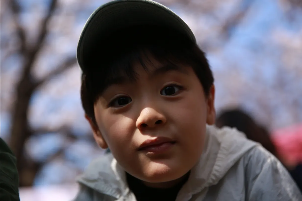 이미지 5