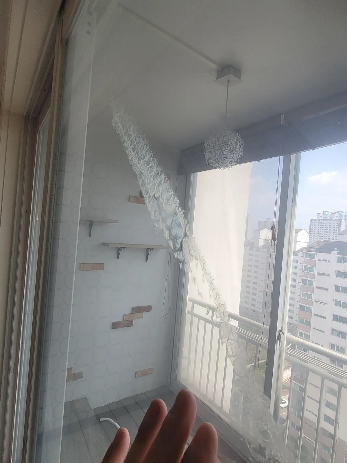 이미지 5
