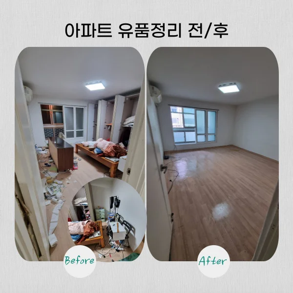 이미지 5