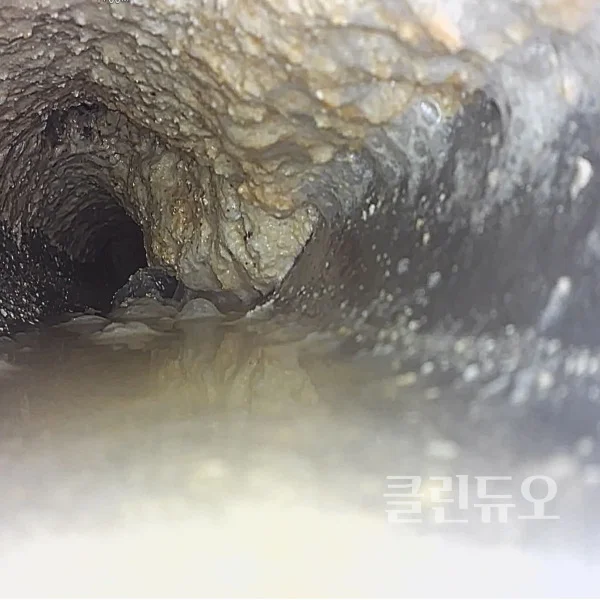 이미지 6