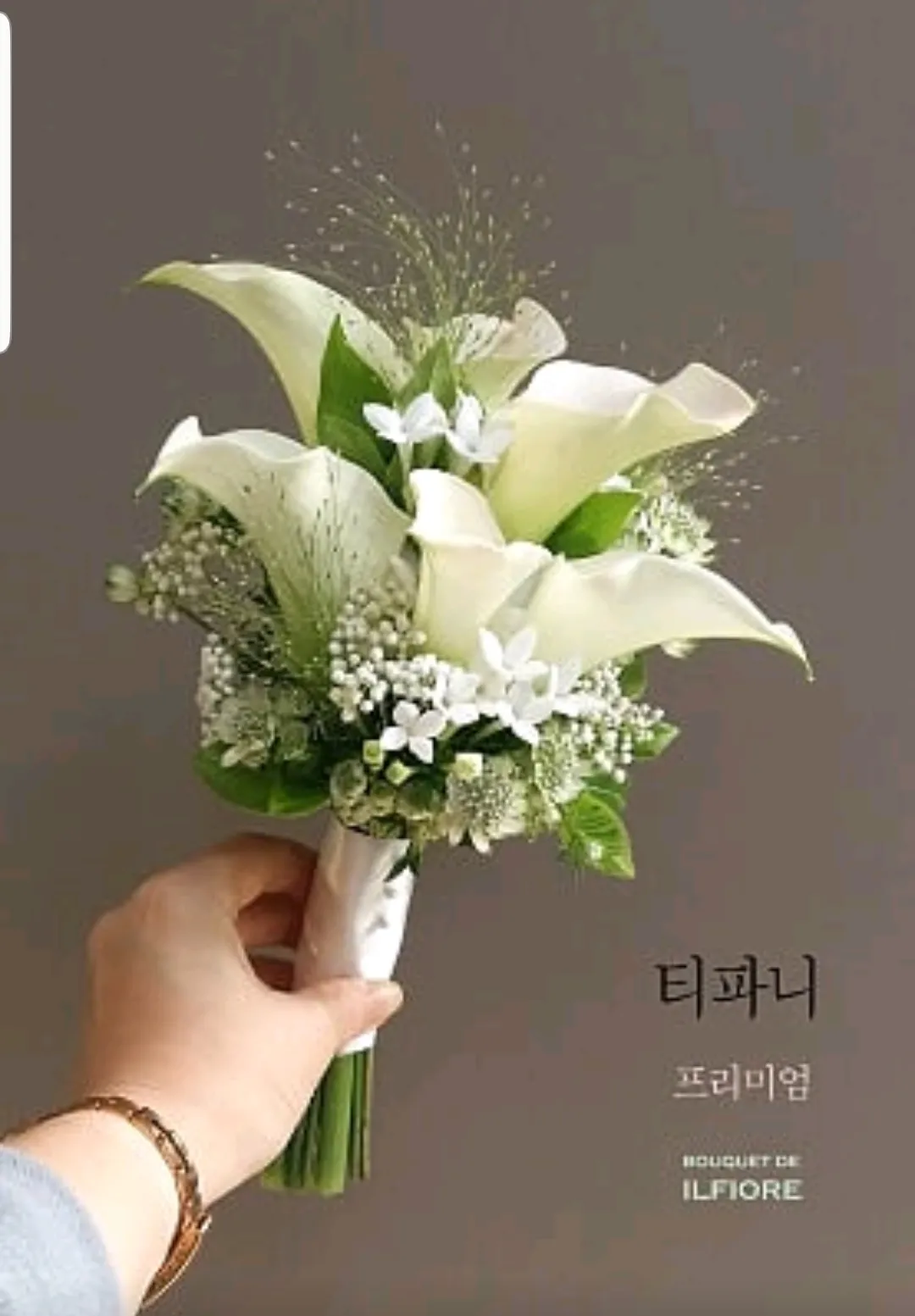 이미지 10