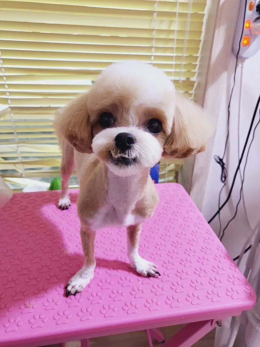이미지 3