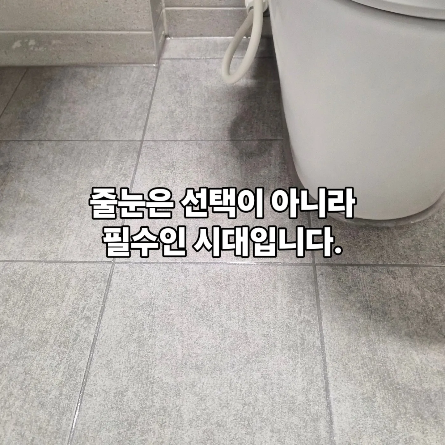 이미지 8