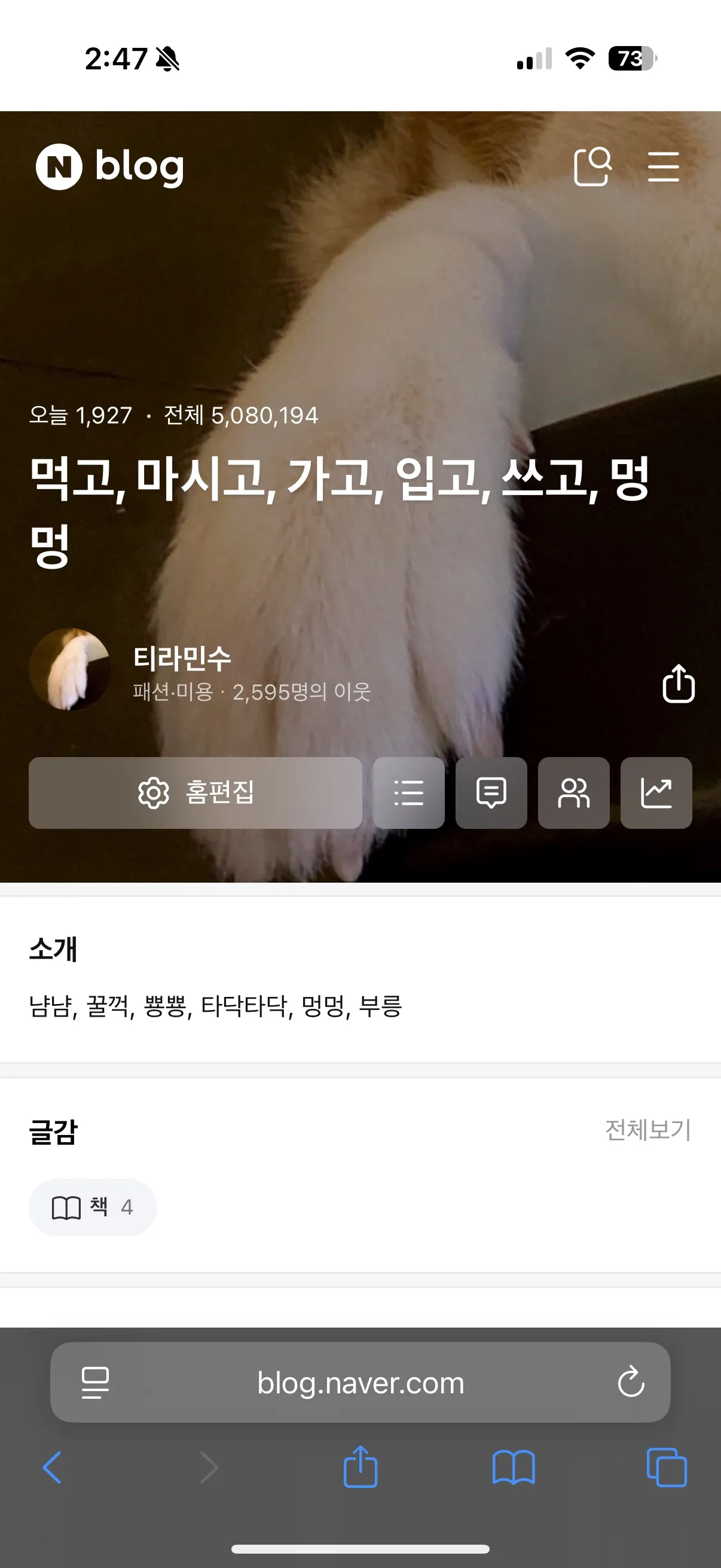 포트폴리오 이미지