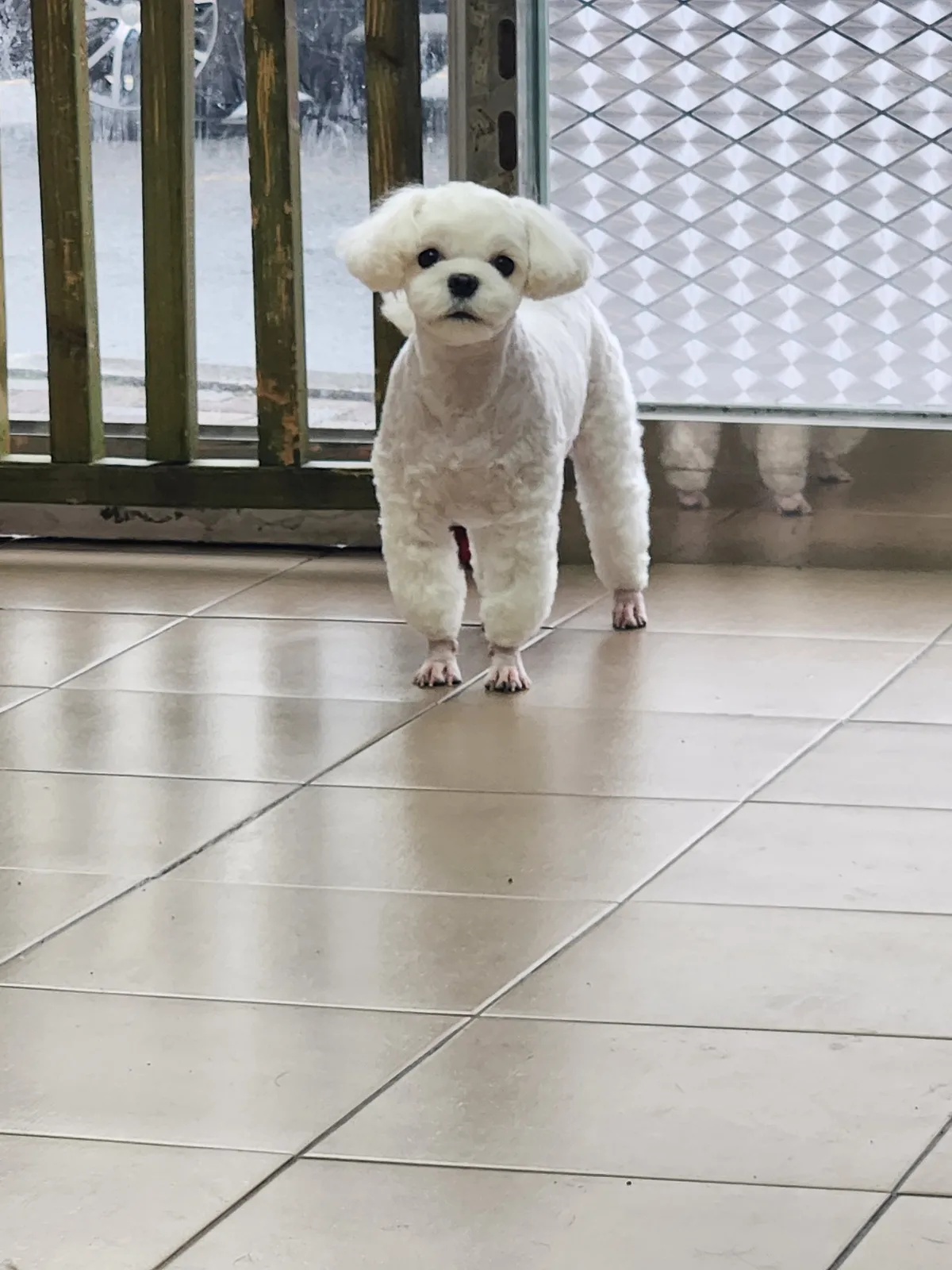 이미지 3