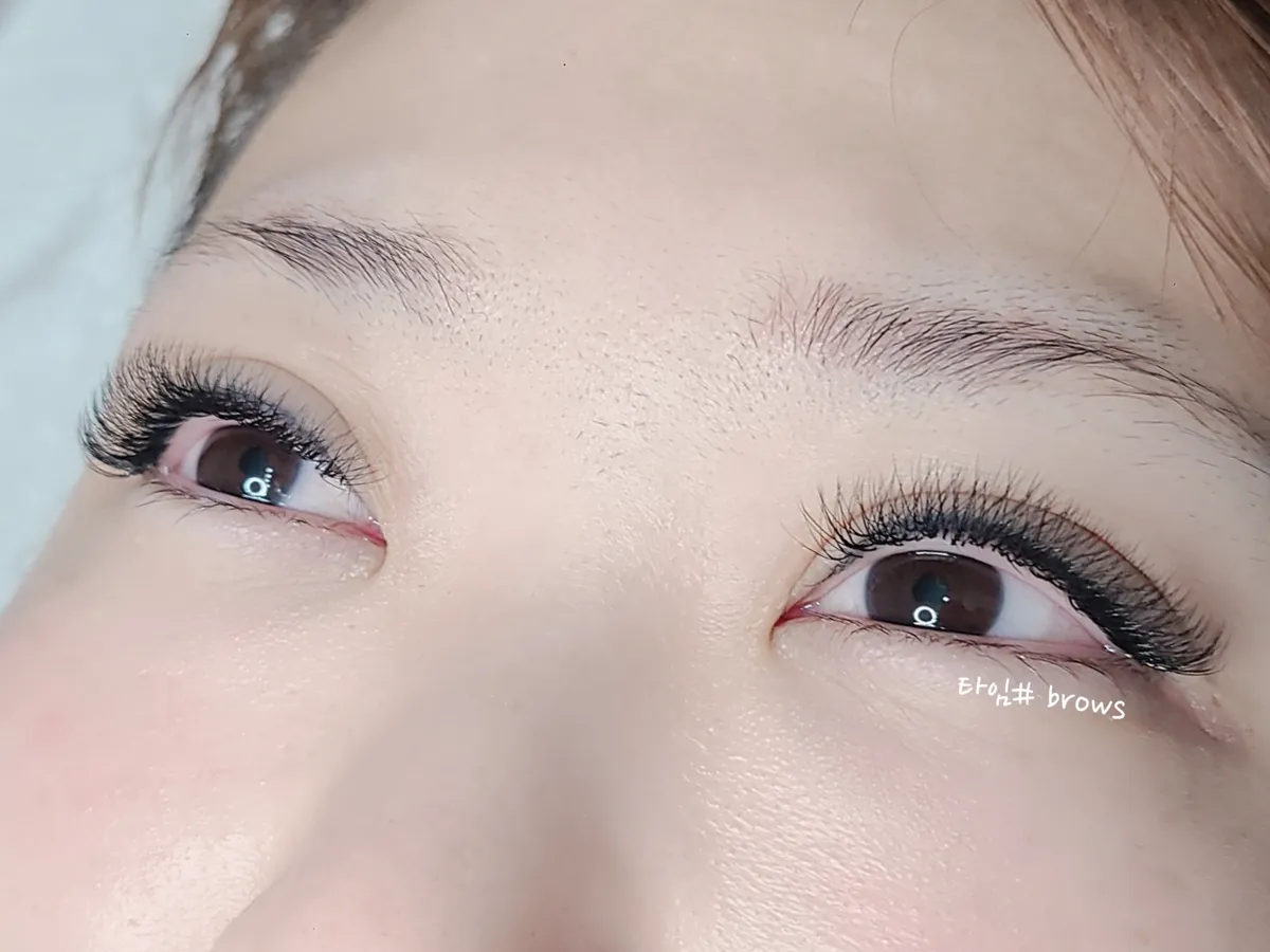 이미지 3