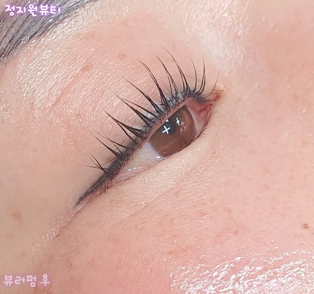 이미지 7