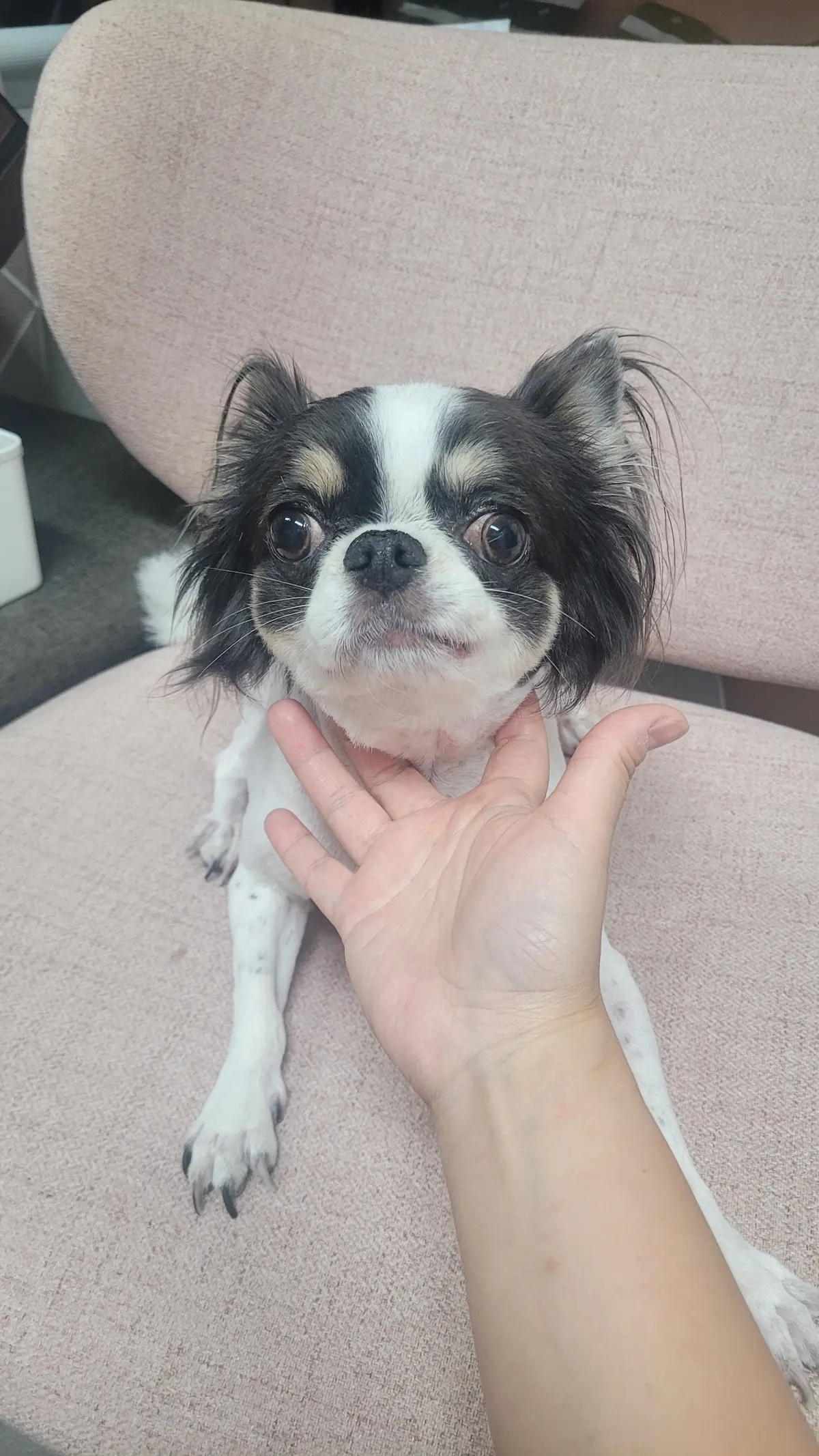 이미지 24