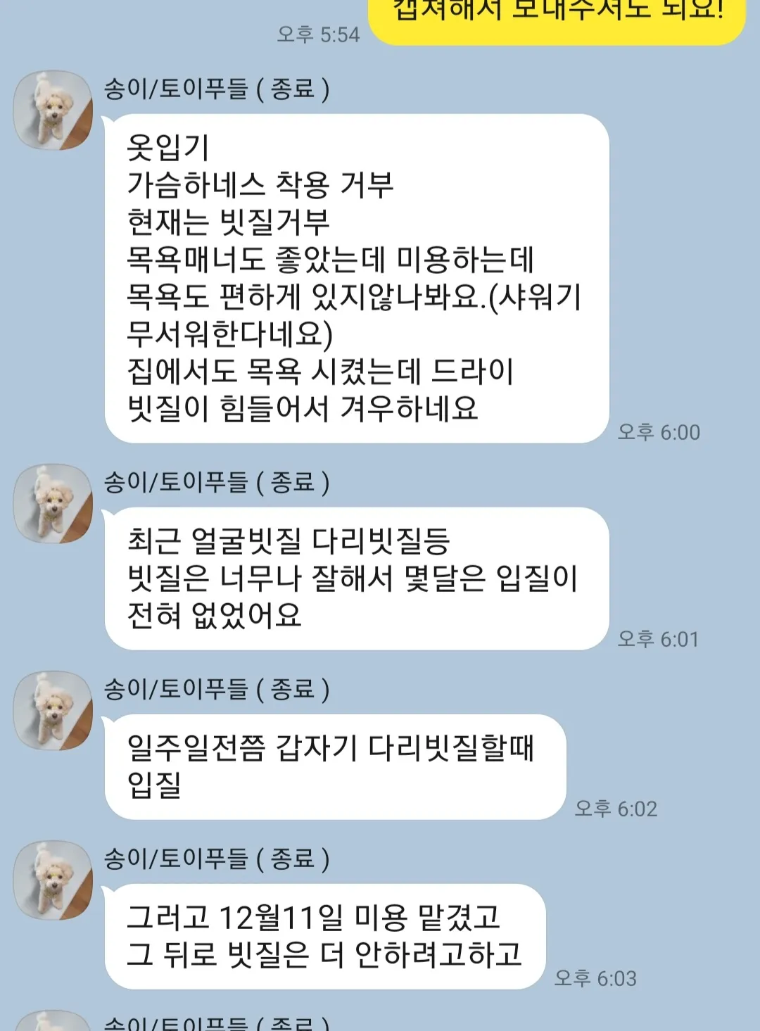 이미지 10